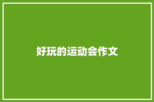 好玩的运动会作文