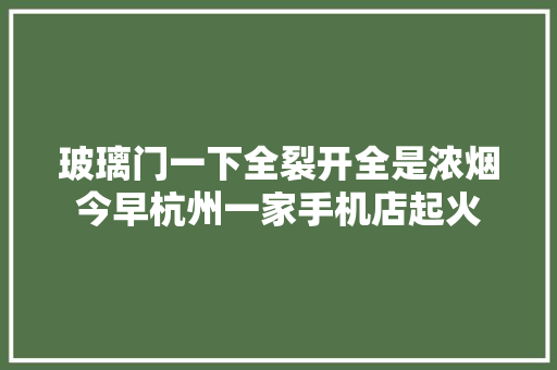玻璃门一下全裂开全是浓烟今早杭州一家手机店起火