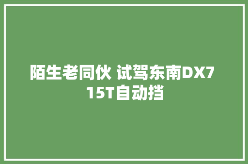 陌生老同伙 试驾东南DX7 15T自动挡
