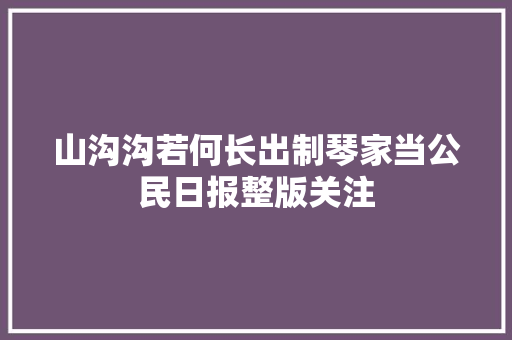 山沟沟若何长出制琴家当公民日报整版关注