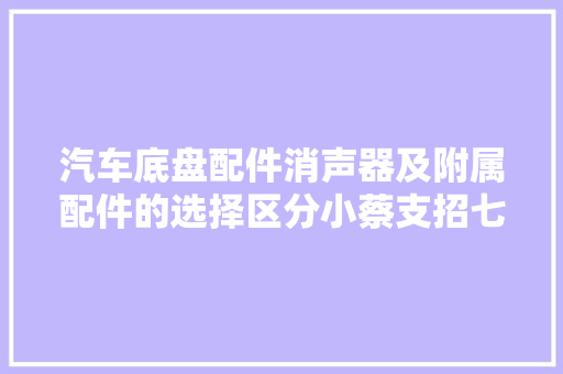 汽车底盘配件消声器及附属配件的选择区分小蔡支招七