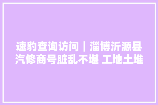 速豹查询访问｜淄博沂源县汽修商号脏乱不堪 工地土堆长满杂草