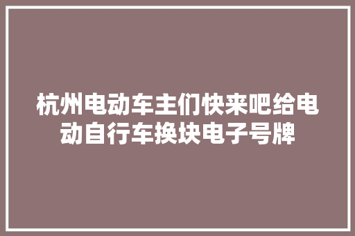 杭州电动车主们快来吧给电动自行车换块电子号牌