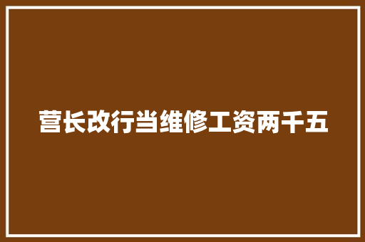 营长改行当维修工资两千五