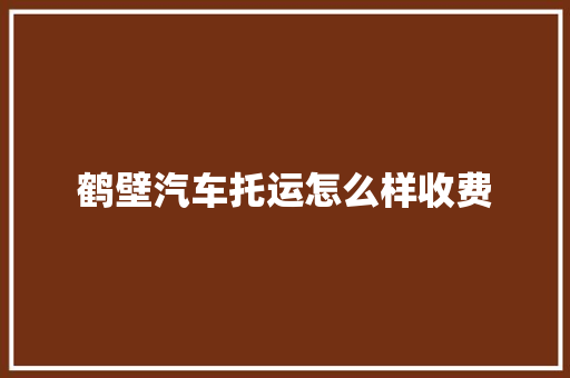 鹤壁汽车托运怎么样收费