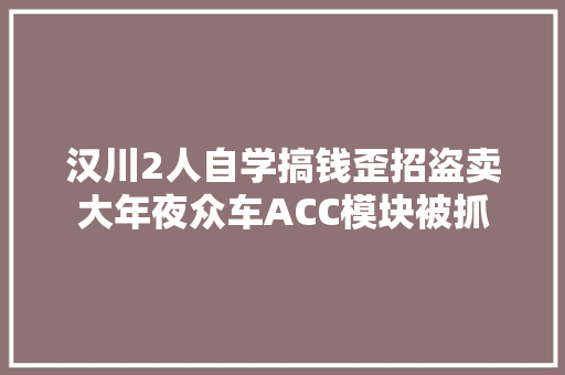 汉川2人自学搞钱歪招盗卖大年夜众车ACC模块被抓