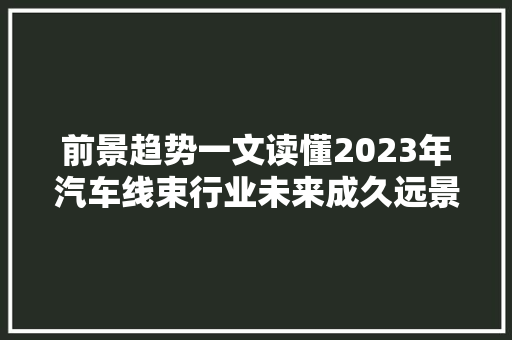 前景趋势一文读懂2023年汽车线束行业未来成久远景