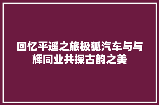 回忆平遥之旅极狐汽车与与辉同业共探古韵之美