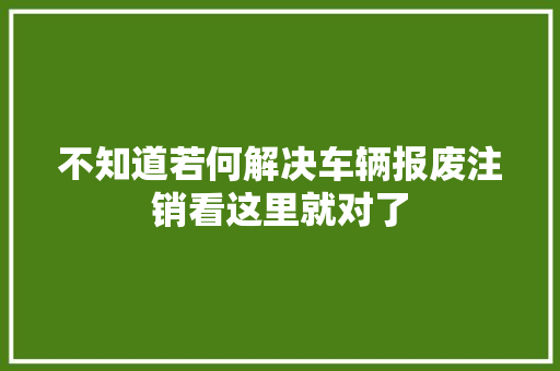 不知道若何解决车辆报废注销看这里就对了