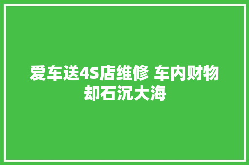爱车送4S店维修 车内财物却石沉大海