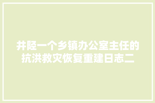 井陉一个乡镇办公室主任的抗洪救灾恢复重建日志二