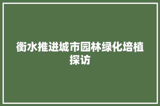 衡水推进城市园林绿化培植探访