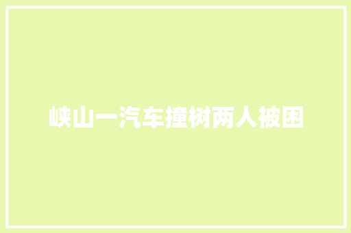 峡山一汽车撞树两人被困 汽车知识