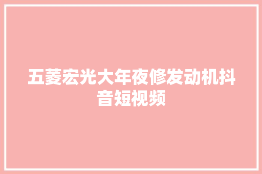 五菱宏光大年夜修发动机抖音短视频