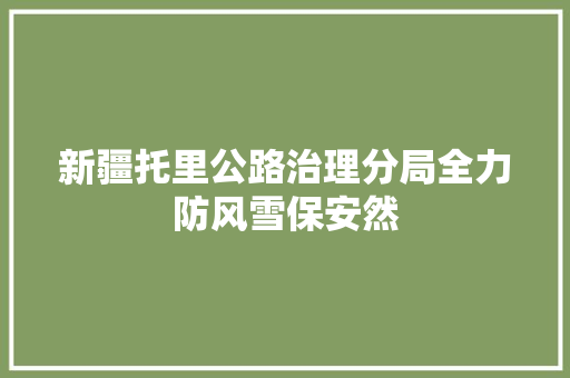新疆托里公路治理分局全力防风雪保安然