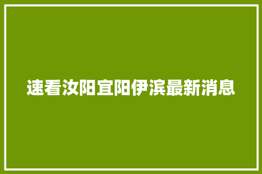 速看汝阳宜阳伊滨最新消息