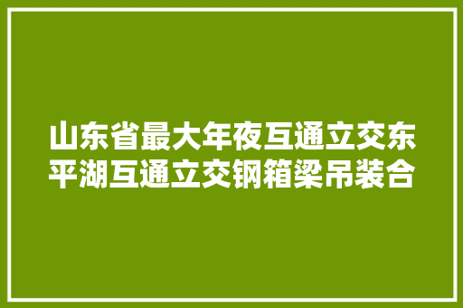 山东省最大年夜互通立交东平湖互通立交钢箱梁吊装合龙
