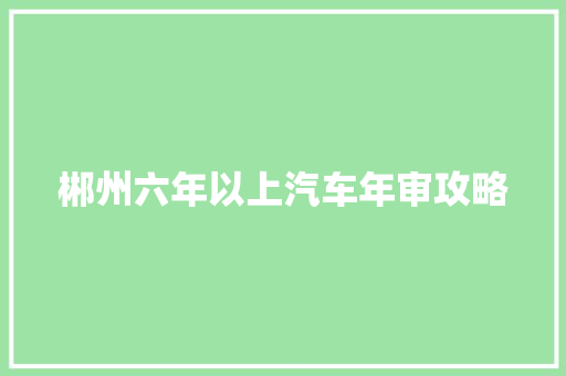 郴州六年以上汽车年审攻略 汽车知识