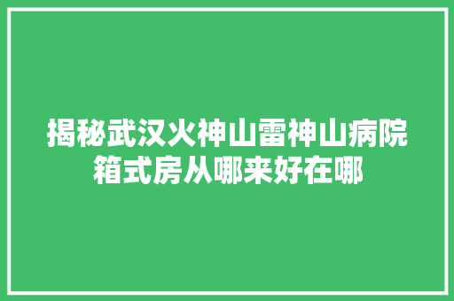 揭秘武汉火神山雷神山病院箱式房从哪来好在哪