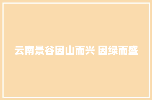 云南景谷因山而兴 因绿而盛