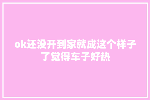 ok还没开到家就成这个样子了觉得车子好热