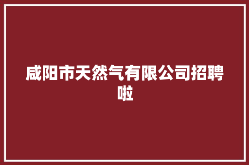 咸阳市天然气有限公司招聘啦