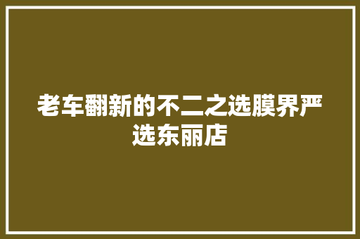 老车翻新的不二之选膜界严选东丽店