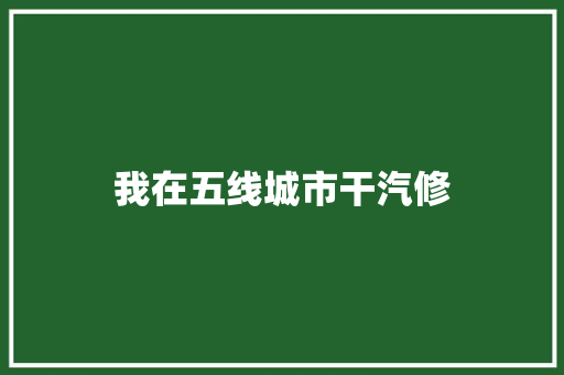 我在五线城市干汽修