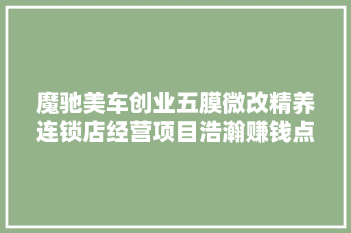 魔驰美车创业五膜微改精养连锁店经营项目浩瀚赚钱点超赞