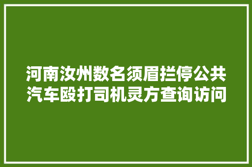 河南汝州数名须眉拦停公共汽车殴打司机灵方查询访问