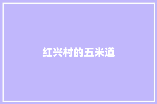 红兴村的五米道