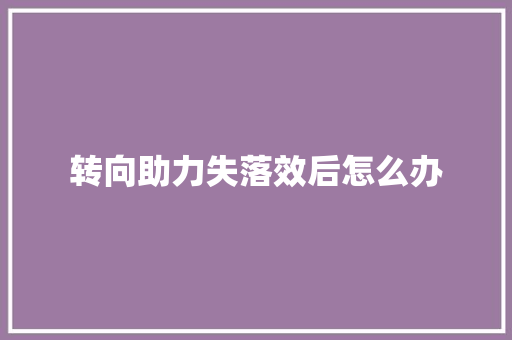 转向助力失落效后怎么办