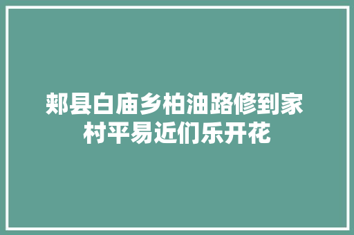 郏县白庙乡柏油路修到家 村平易近们乐开花