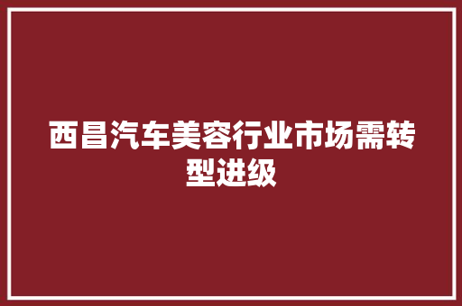 西昌汽车美容行业市场需转型进级