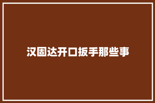 汉固达开口扳手那些事