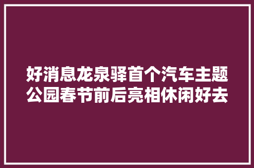好消息龙泉驿首个汽车主题公园春节前后亮相休闲好去处在哪里