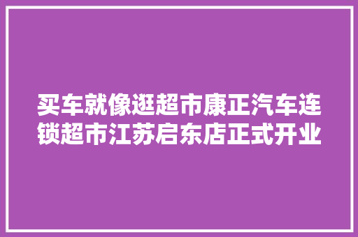 买车就像逛超市康正汽车连锁超市江苏启东店正式开业