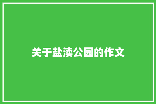 关于盐渎公园的作文