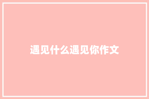 遇见什么遇见你作文