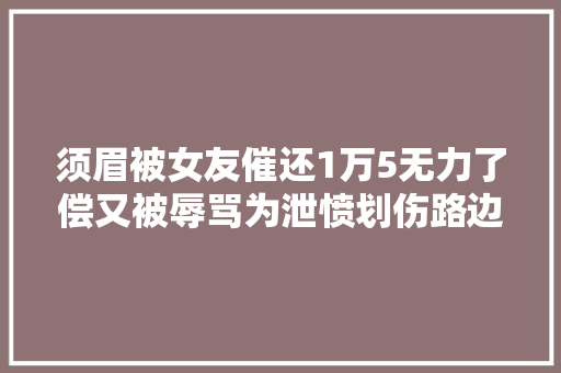 须眉被女友催还1万5无力了偿又被辱骂为泄愤划伤路边15辆车