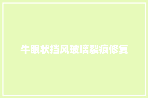 牛眼状挡风玻璃裂痕修复