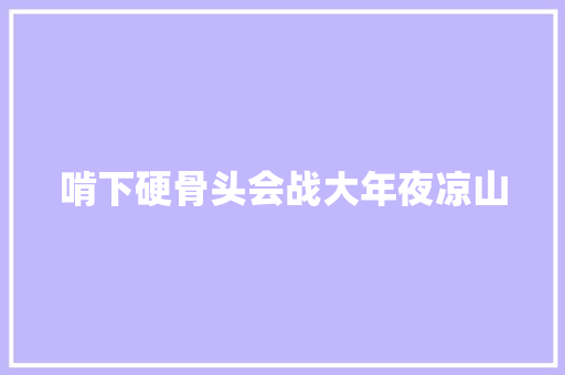 啃下硬骨头会战大年夜凉山