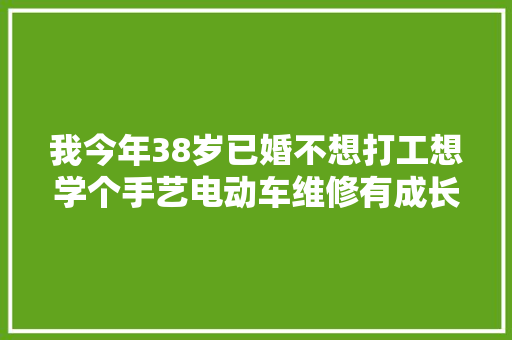 我今年38岁已婚不想打工想学个手艺电动车维修有成长前途吗