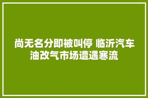 尚无名分即被叫停 临沂汽车油改气市场遭遇寒流