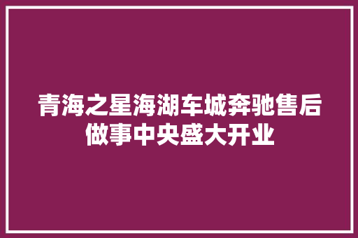 青海之星海湖车城奔驰售后做事中央盛大开业