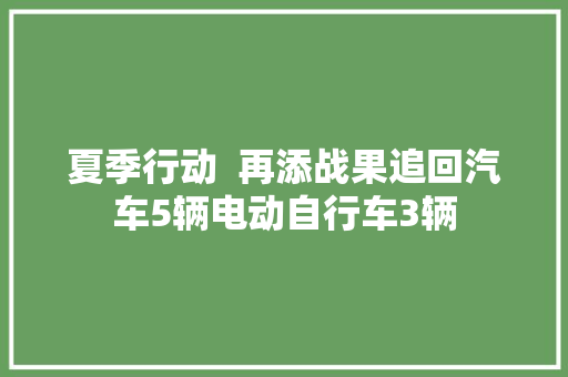 夏季行动  再添战果追回汽车5辆电动自行车3辆