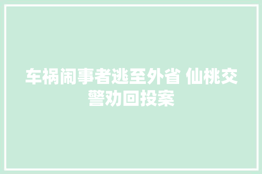 车祸闹事者逃至外省 仙桃交警劝回投案