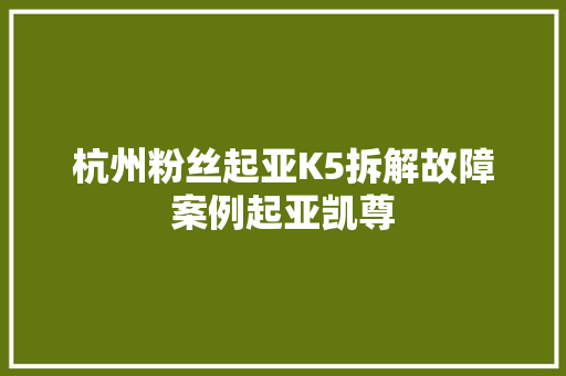 杭州粉丝起亚K5拆解故障案例起亚凯尊