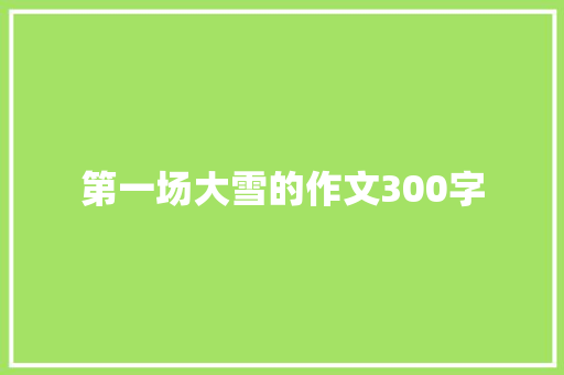 第一场大雪的作文300字