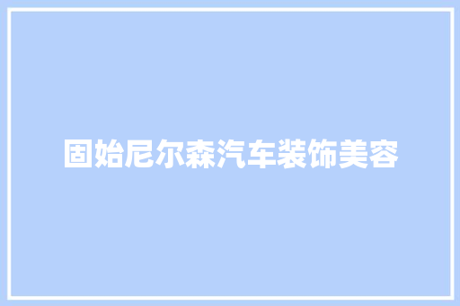 固始尼尔森汽车装饰美容